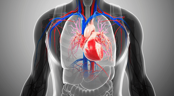Can Bradycardia Affect The Accuracy Of Pulse Oximetry Spo2%?